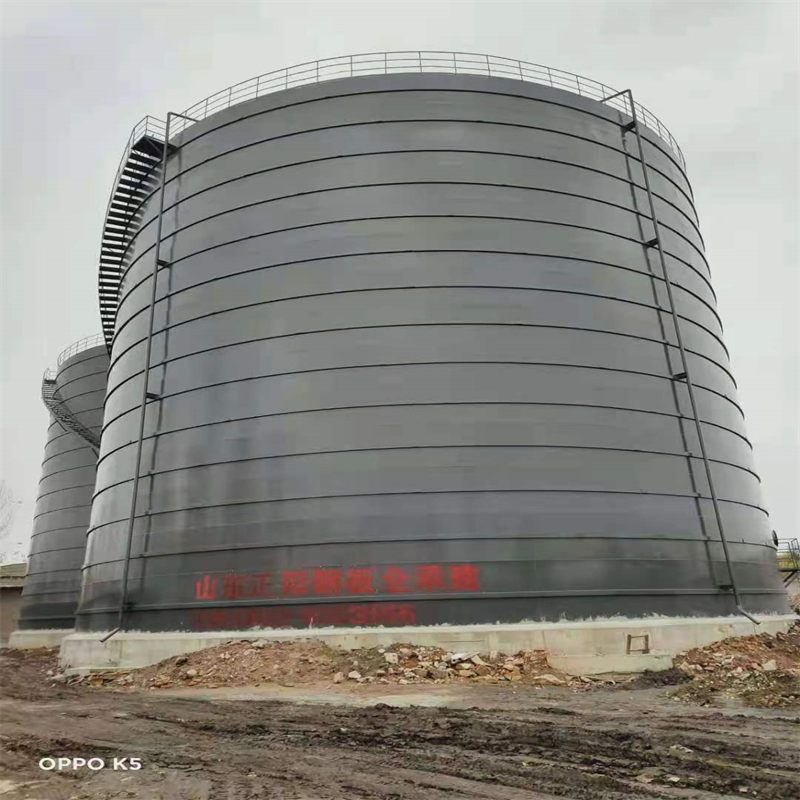 潮南3万吨大型钢板库