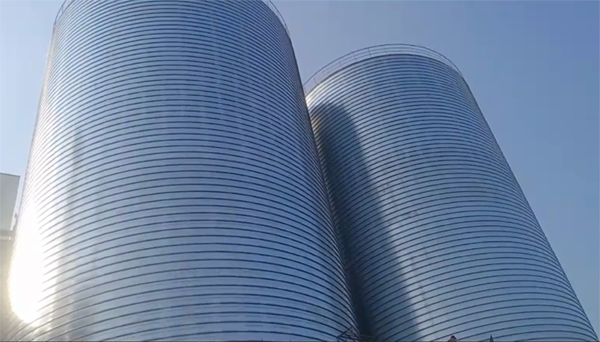 潮南2座混凝土高架卷板仓